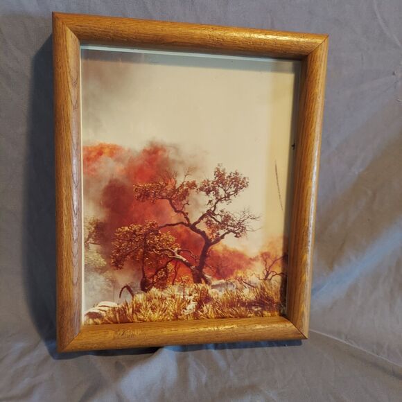 1983 Framed Photograph of Apache Fire near Tucson, Arizona